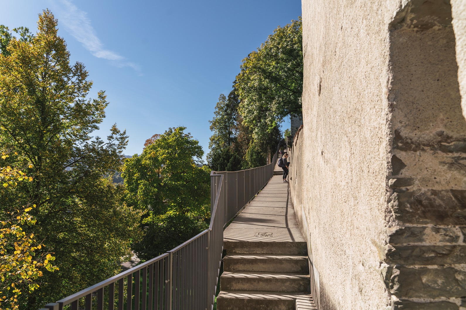 Begehbarer Wehrgang der Museggmauer in Luzern mit einer Besucherin, die entlang der mittelalterlichen Stadtmauer läuft, umgeben von grünen und herbstlich gefärbten Bäumen unter blauem Himmel.