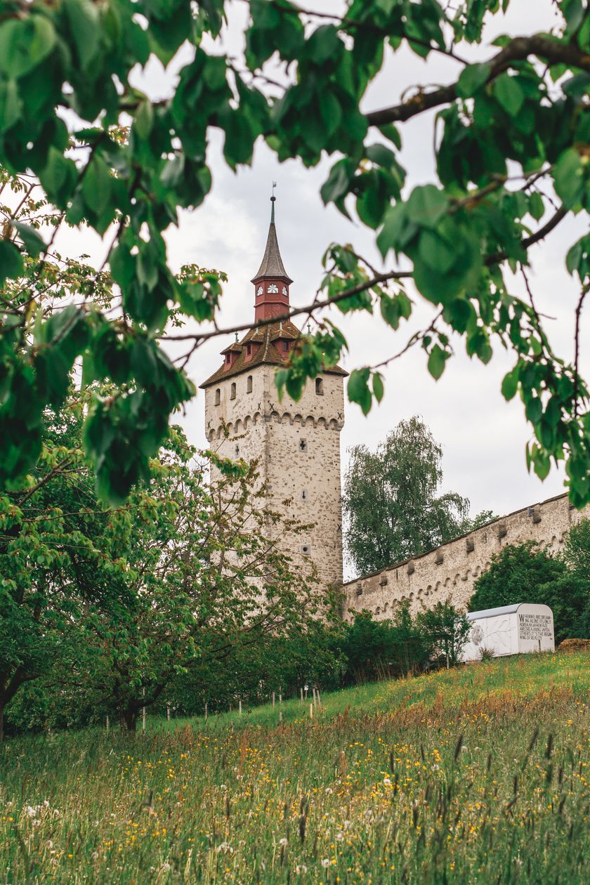 Der Wachtturm der Museggmauer ragt hinter grünen Blättern und Bäumen auf, davor eine blühende Wiese und Teile der historischen Stadtmauer unter einem hellen Himmel.
