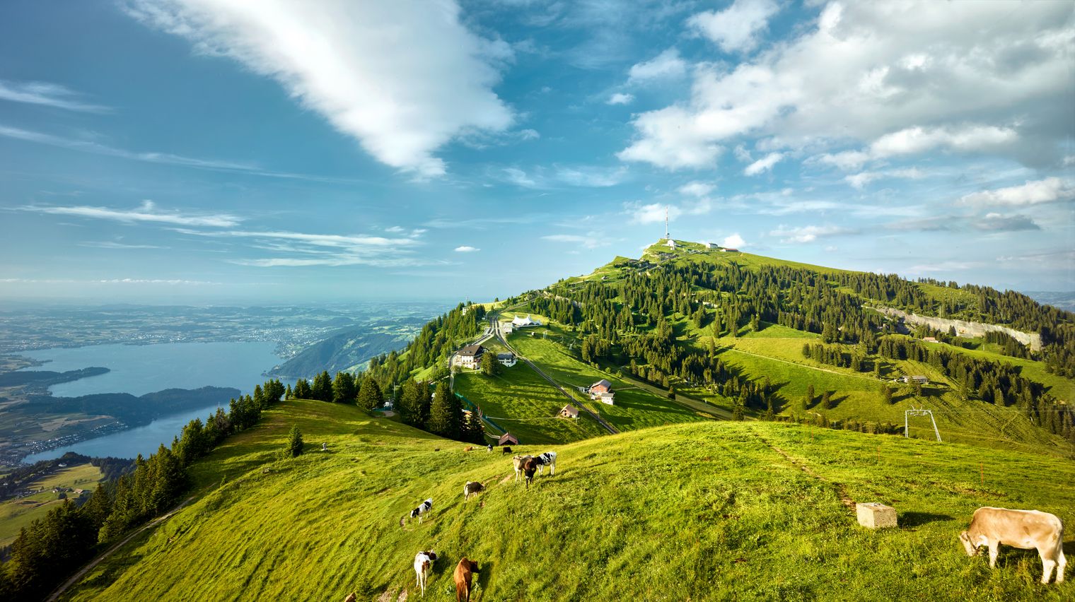 Weite grüne Almwiesen auf einem Berggrat mit grasenden Kühen im Vordergrund, dahinter bewaldete Hänge, verstreute Gebäude und ein Gipfel mit Sendeturm unter einem weitgehend wolkigen Himmel. Links öffnet sich der Blick über einen See und die Landschaft in der Ferne.